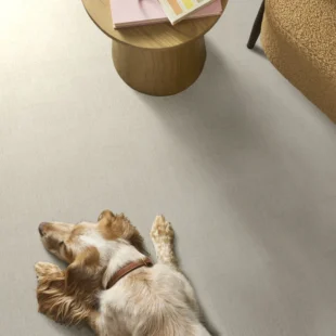 Carpet-flooring-shawfloors-natural-instinct-ivory