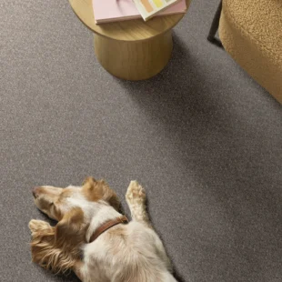 Carpet-flooring-shawfloors-refined-beauty-perfection