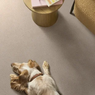 Carpet-flooring-shawfloors-secret-adventure-dune-view1